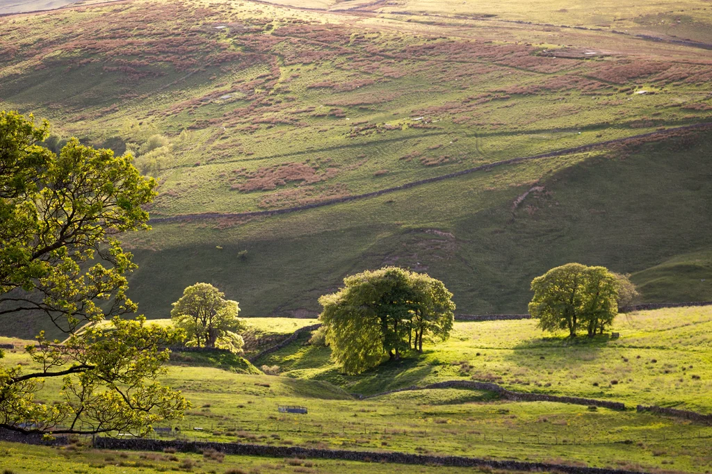 North Pennines
